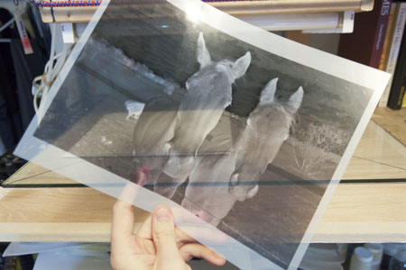 Printing on Transparency Film